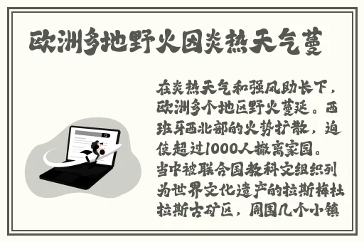国产精品久久久久久**精品A片